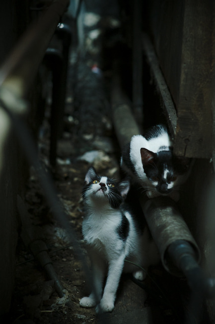 世界杯逆转典范：英雄书写奇迹！，世界杯反转